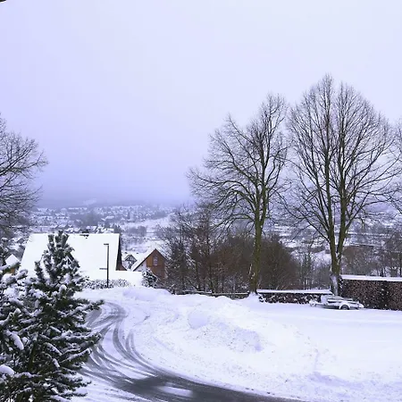 Vintage In Sauerland Near Ski Area *